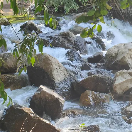 Milenkovic 아파트 *