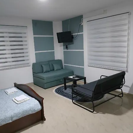 Milenkovic 아파트 *